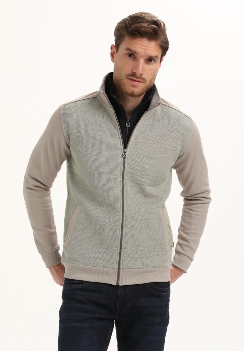 Heren vest