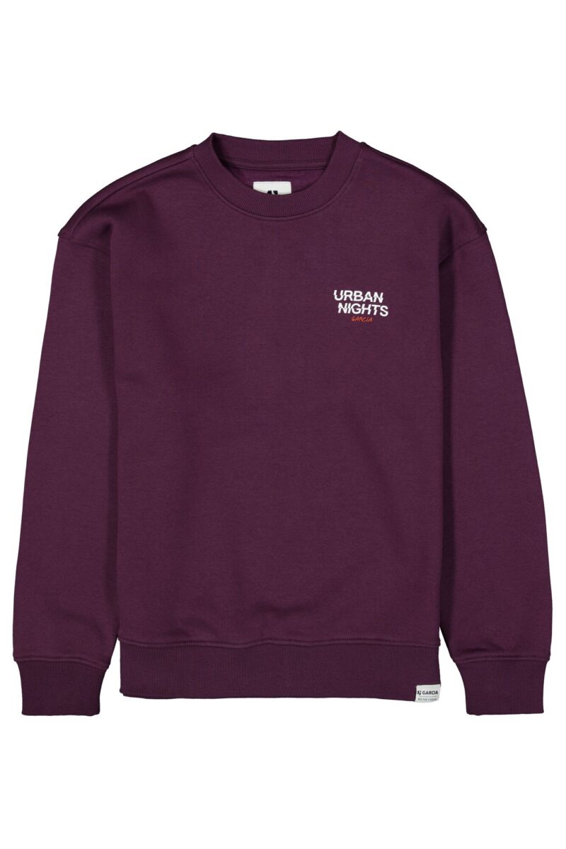 Jongens sweater